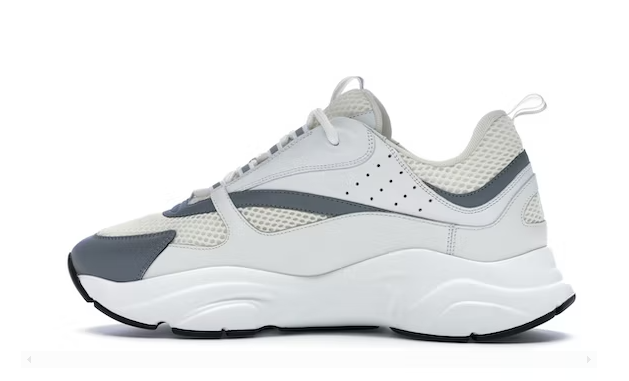 Dior B22 White Silver